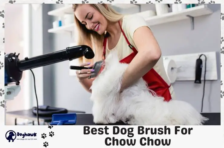 Best Dog Brush For Chow Chow