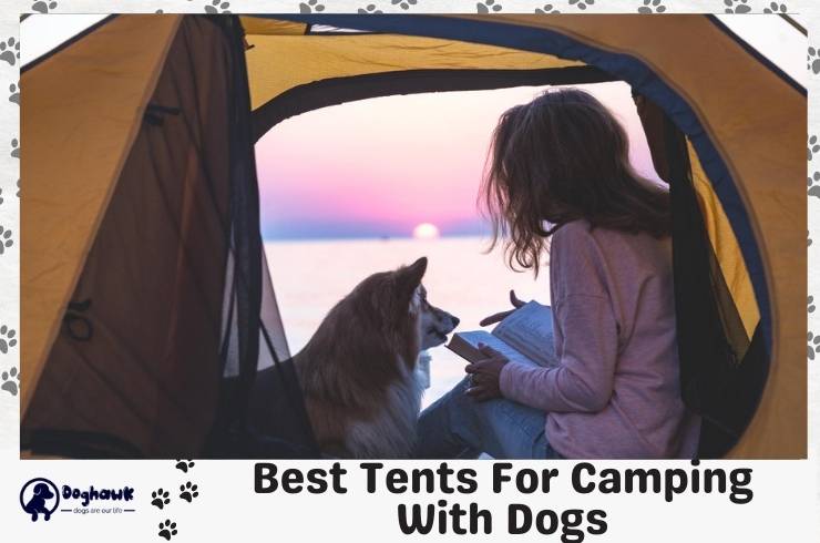 Best Tents For Camping With Dogs