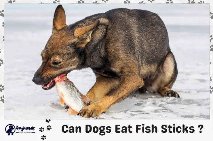 can dogs eat fish sticks