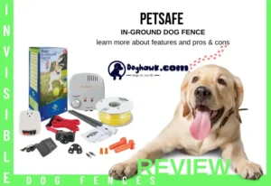 Petsafe In-Ground Dog Fence