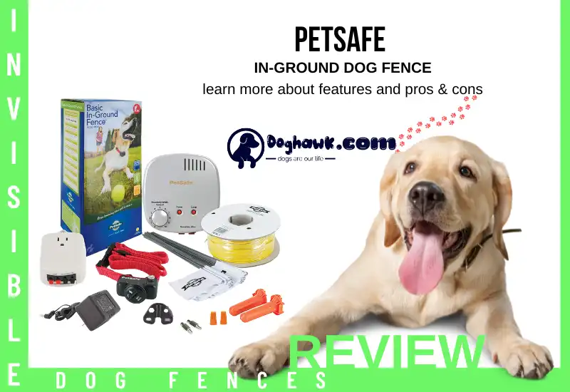 Petsafe In-Ground Dog Fence