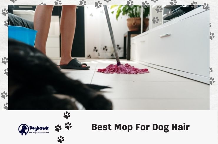 Best Mop for Dog Hair 2023