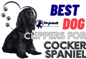 Best Dog Clippers For Cocker Spaniel