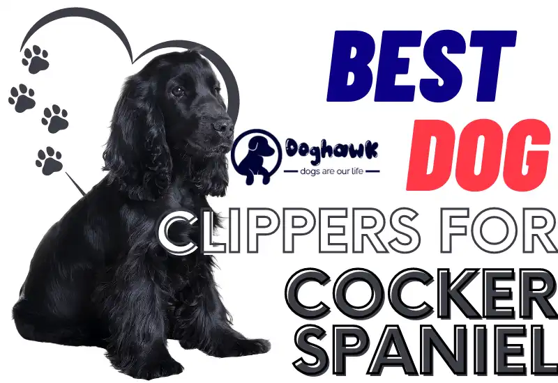 Best Dog Clippers For Cocker Spaniel (Reviewed In 2023)
