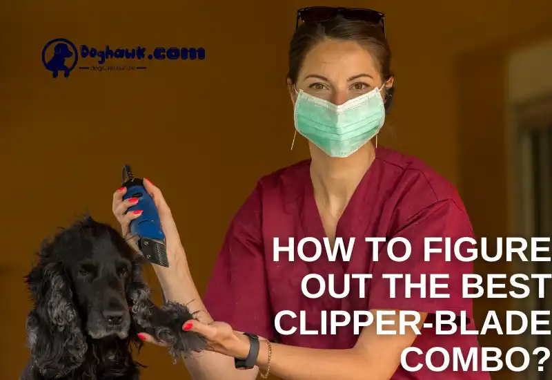 How To Figure Out The Best Clipper-Blade Combo