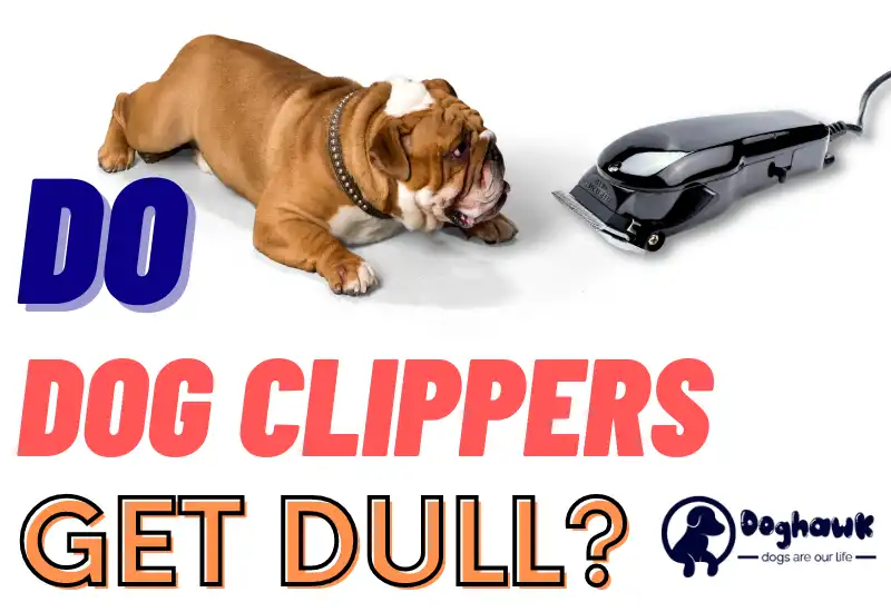 Do Dog Clippers Get Dull