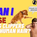 Can I Use Dog Clippers on Human Hair?