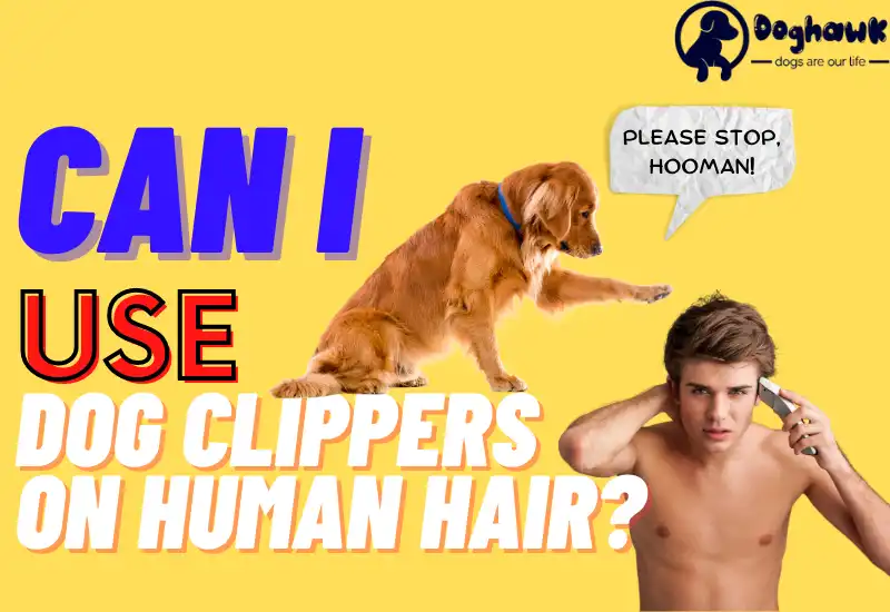Dog Clippers on Human Hair
