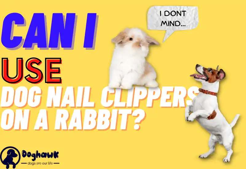 Can I Use Dog Nail Clippers On A Rabbit