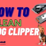 How to Clean Dog Clippers: Clipper Care and Maintenance Best Tips 2024