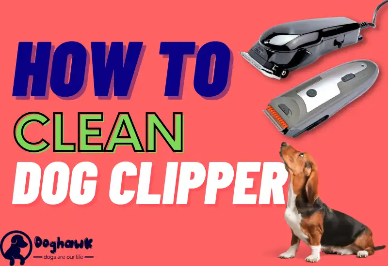 How to Clean Dog Clippers