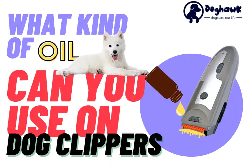 What Kind of Oil Can You Use on Dog Clippers