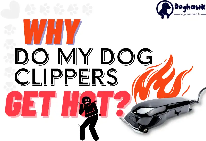 Why Do My Dog Clippers Get Hot? (Identify the Problems & Solutions)