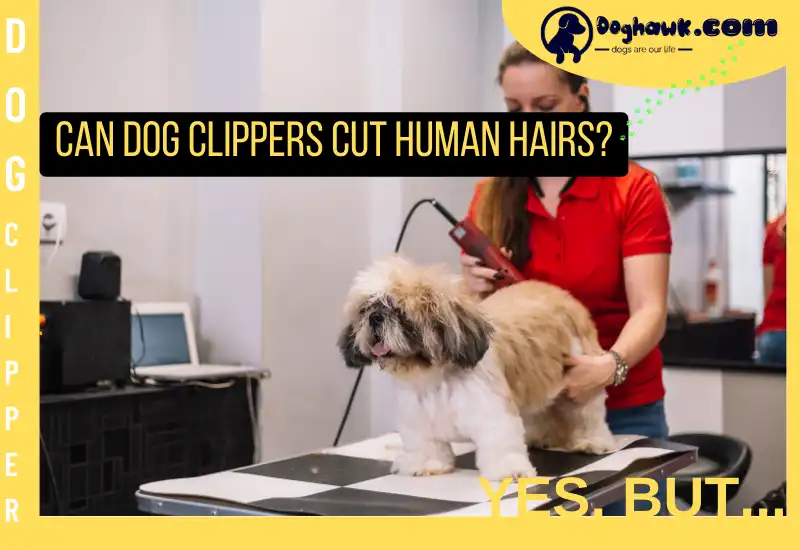 Can Dog Clippers Cut Human Hairs
