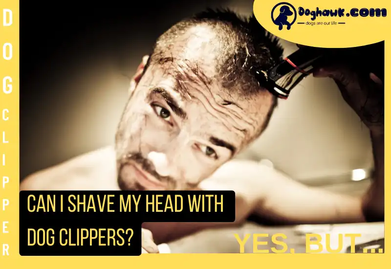 Can I Shave my Head with Dog Clippers