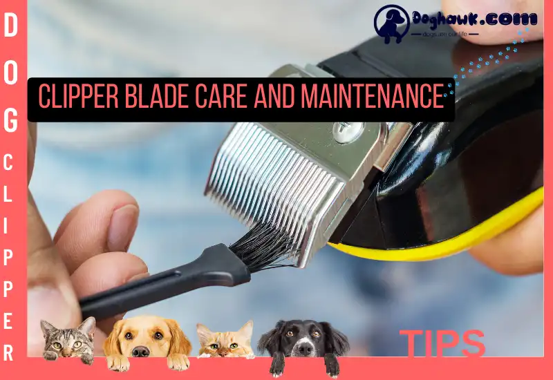 Clipper Blade Care and Maintenance