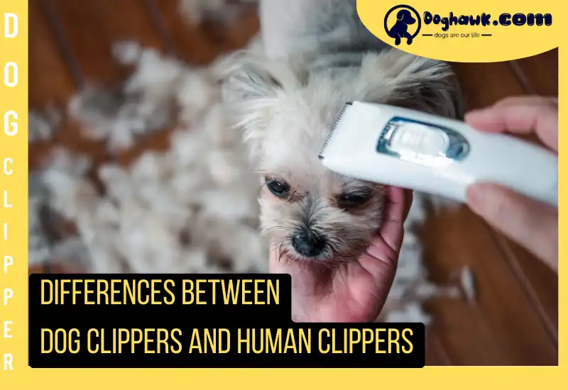 Differences Between Dog Clippers and Human Clippers