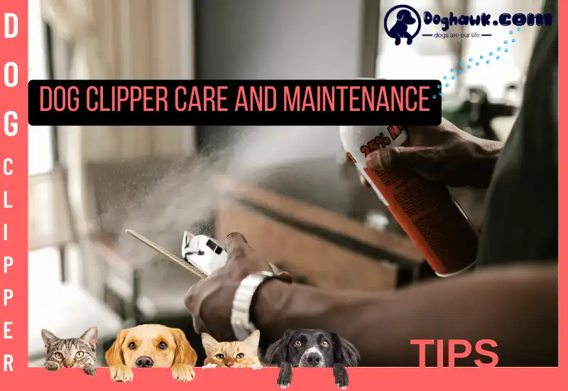 Dog Clipper Care and Maintenance