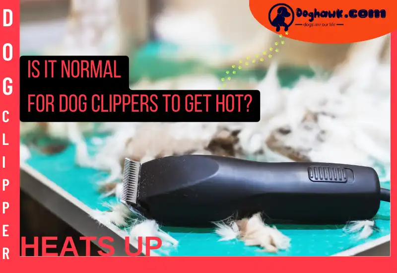 Is It Normal For Dog Clippers To Get Hot
