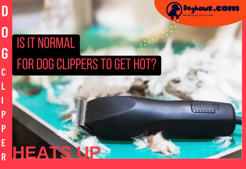 Is It Normal For Dog Clippers To Get Hot Is It Normal For Dog Clippers To Get Hot