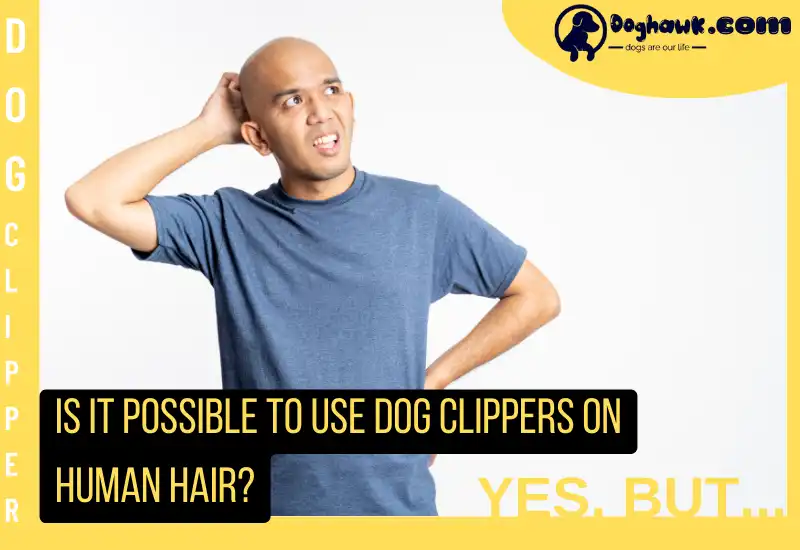 Is it Possible to Use Dog Clippers on Human Hair