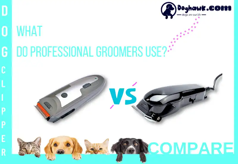 What Do Professional Groomers Use