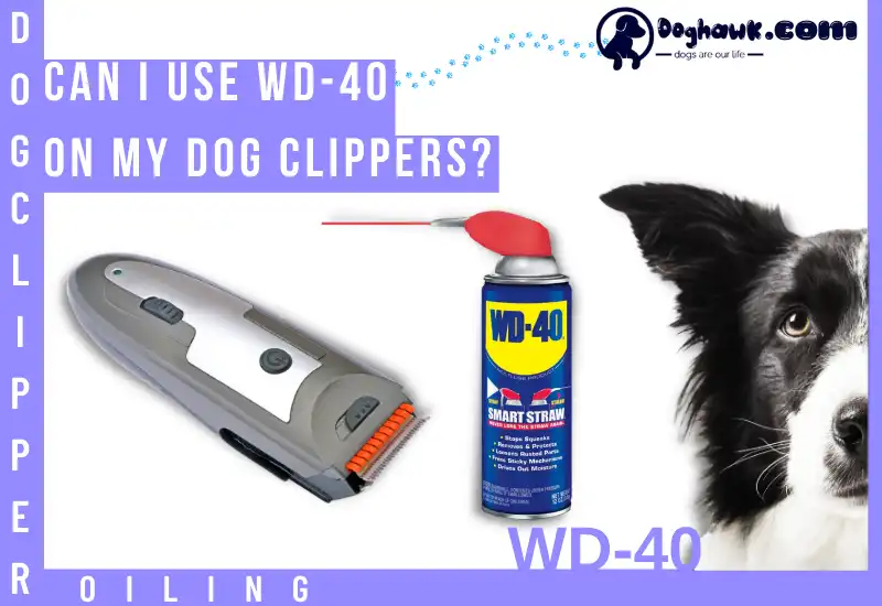 Can I Use WD-40 On My Dog Clippers