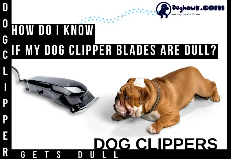 How Do I Know If My Dog Clipper Blades are Dull