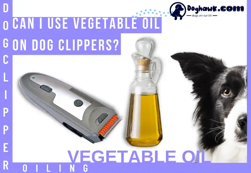 Can I Use Vegetable Oil on Dog Clippers