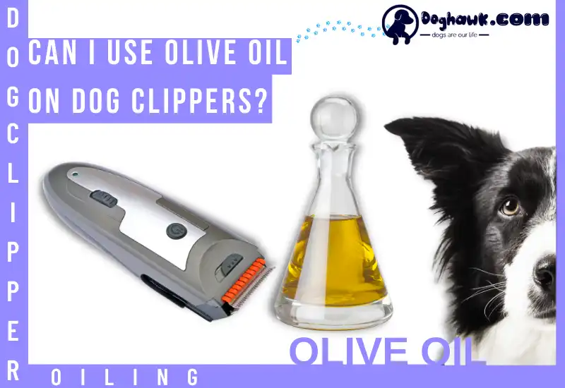 Can I Use Olive Oil on Dog Clippers?