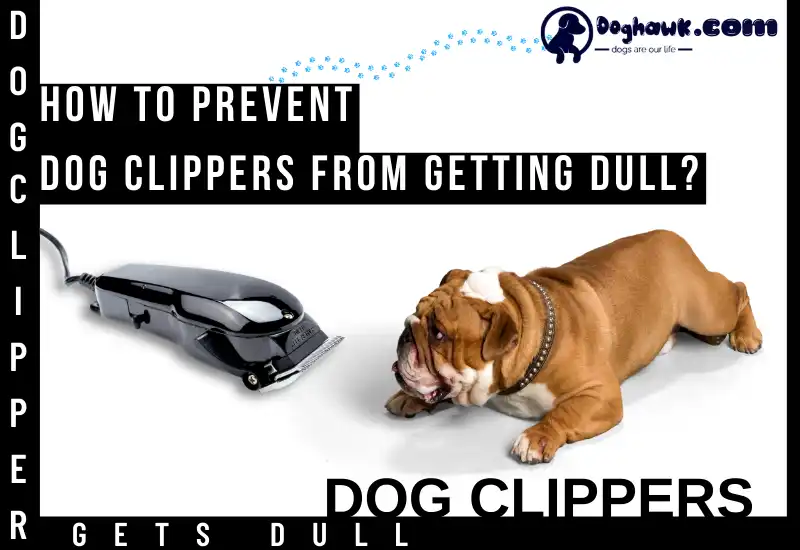 How to Prevent Dog Clippers from Getting Dull