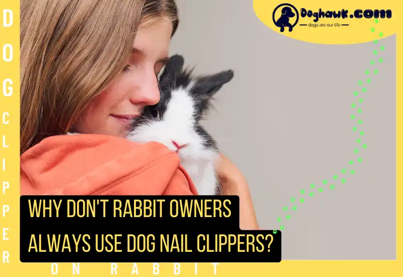 Why Don't Rabbit Owners Always Use Dog Nail Clippers